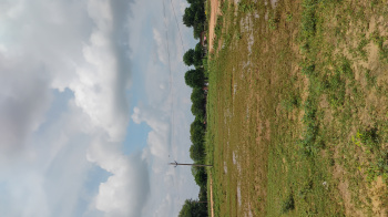  Residential Plot for Sale in Kanota, Jaipur