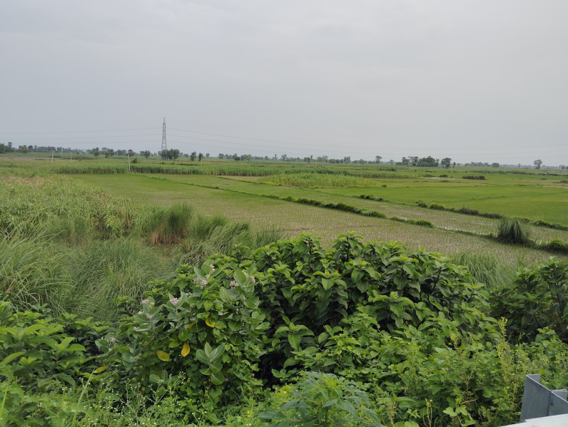  Industrial Land 170 Acre for Sale in Dhaka, Champaran