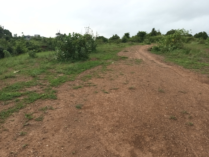  Agricultural Land 7 Bigha for Sale in Unn, Navsari