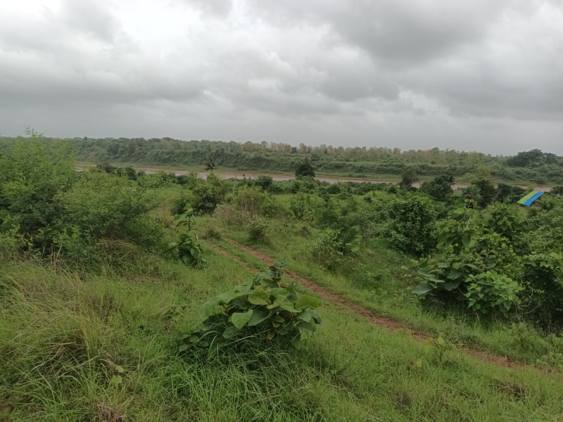  Agricultural Land 7 Bigha for Sale in Unn, Navsari