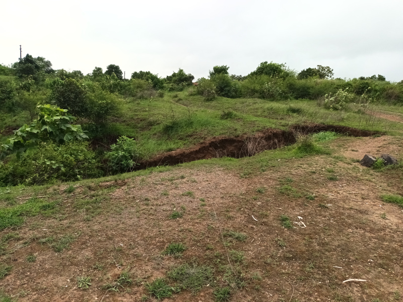  Agricultural Land 7 Bigha for Sale in Unn, Navsari