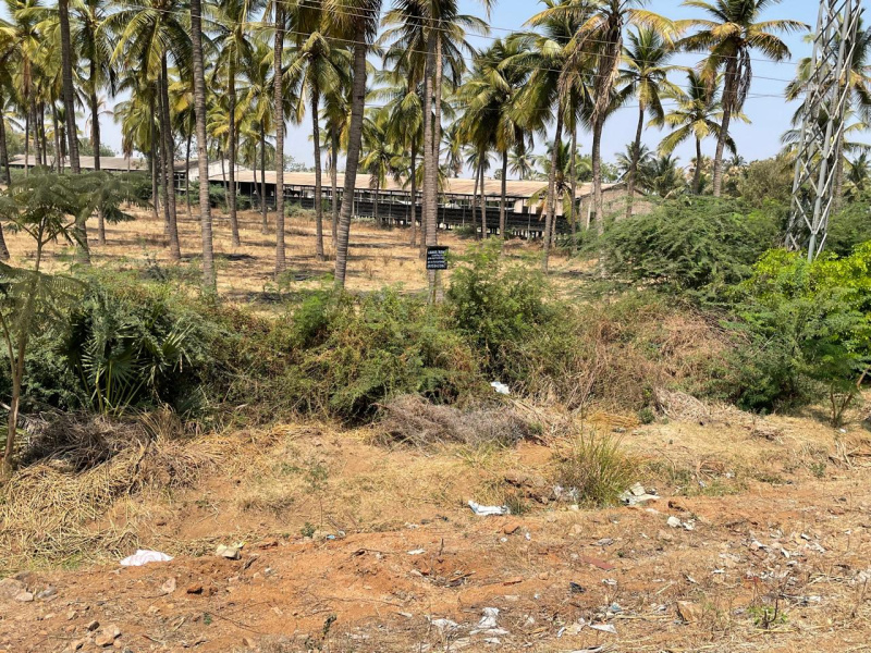  8 Acre Agricultural/Farm Land for Sale in Hospet, Bellary