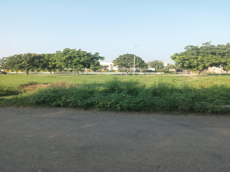  Residential Plot 500 Sq. Yards for Sale in Sunny Enclave, Mohali