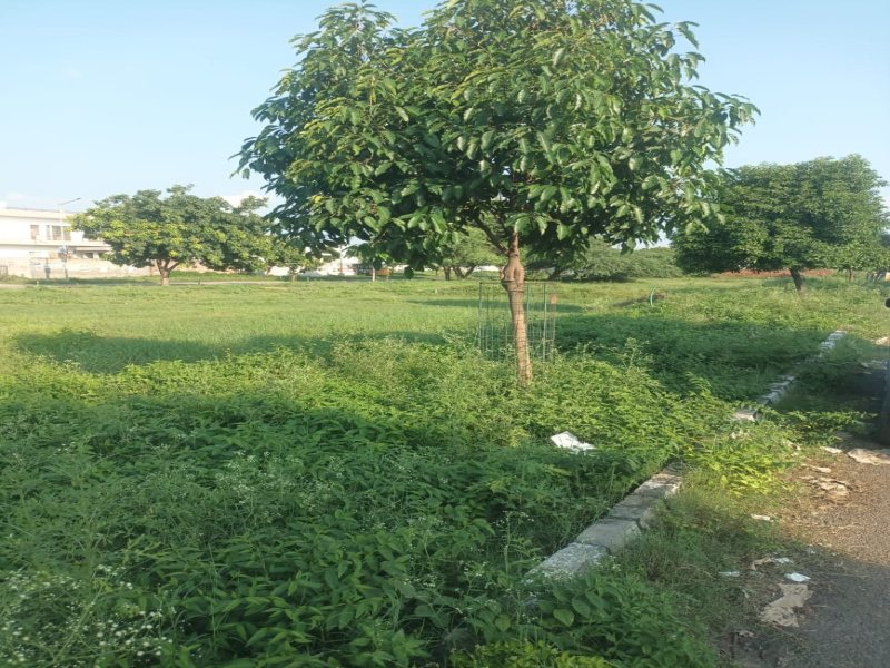  Residential Plot 500 Sq. Yards for Sale in Sunny Enclave, Mohali