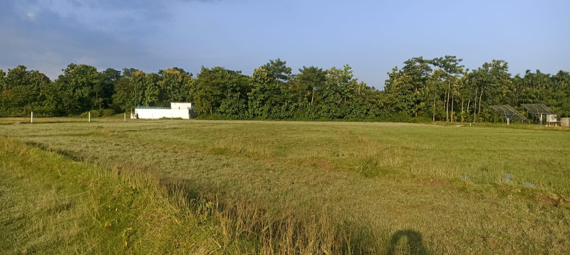  Agricultural Land 21 Bigha for Sale in Kalchini, Alipurduar