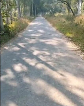 Agricultural Land for Sale in Nehtaur, Bijnor