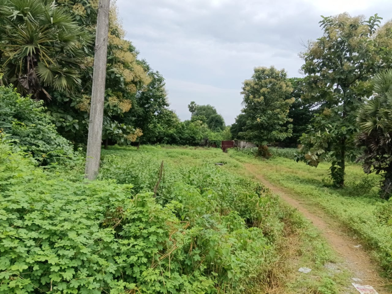  Industrial Land 2 Acre for Sale in S Kota, Vizianagaram