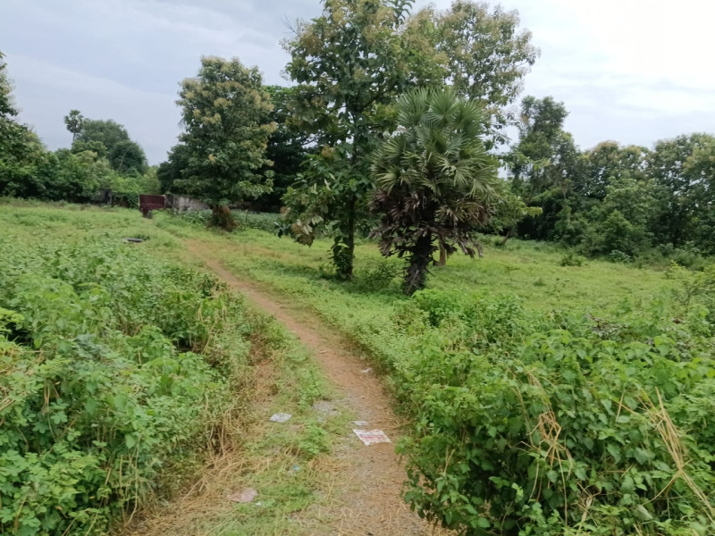  Industrial Land 2 Acre for Sale in S Kota, Vizianagaram
