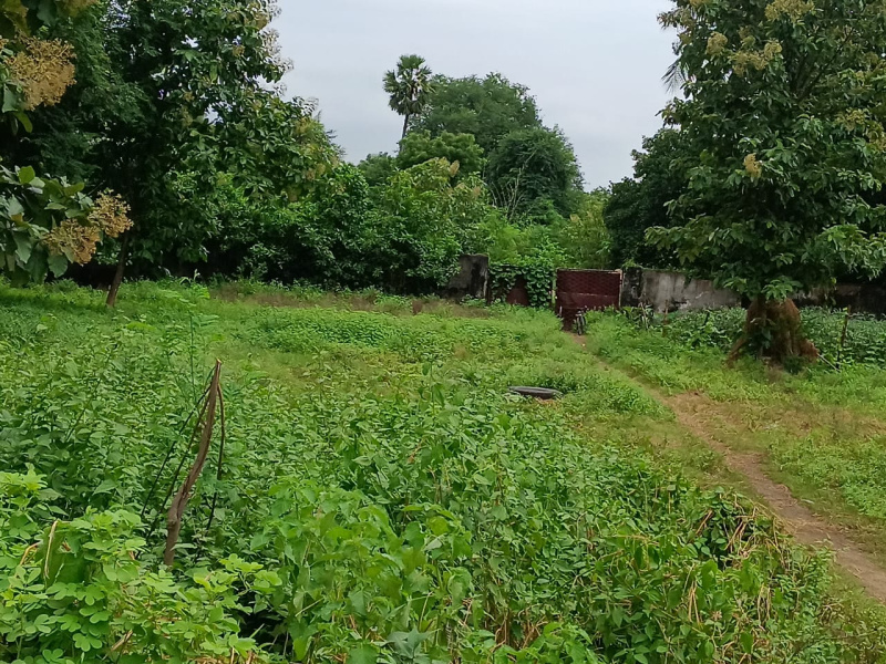  Industrial Land 2 Acre for Sale in S Kota, Vizianagaram