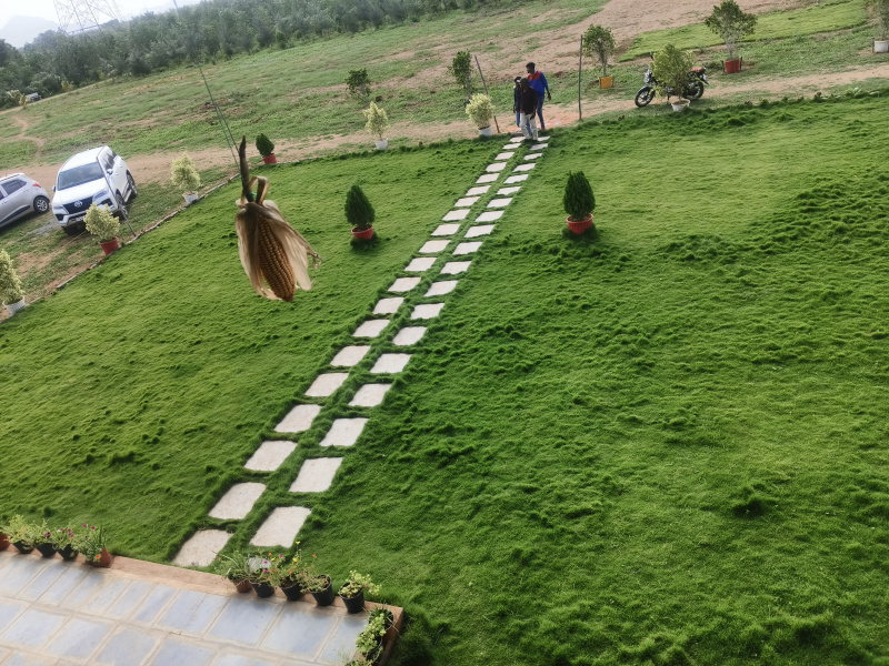 1 BHK Farm House 25 Cent for Sale in Narasaraopet, Guntur