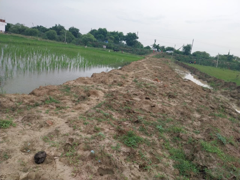  Residential Plot 1000 Sq.ft. for Sale in Beldari Chak, Patna