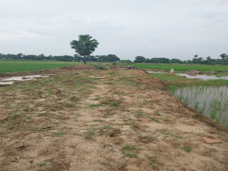  Residential Plot 1000 Sq.ft. for Sale in Beldari Chak, Patna