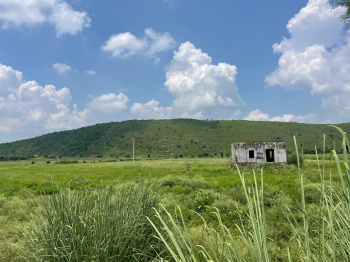  Agricultural Land for Sale in Naugaon, Alwar