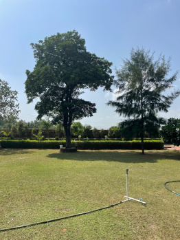  Agricultural Land for Sale in Sohna, Gurgaon