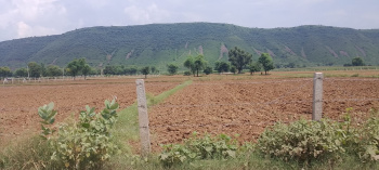  Agricultural Land for Sale in Pahari, Bharatpur