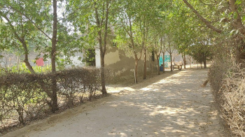  Agricultural Land for Sale in Sohna, Gurgaon