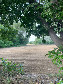  Agricultural Land for Sale in Faridabad Road, Gurgaon