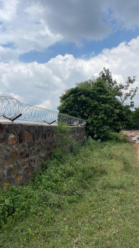  Agricultural Land for Sale in Naugaon, Alwar