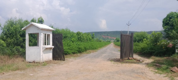  Agricultural Land for Sale in Pahari, Bharatpur