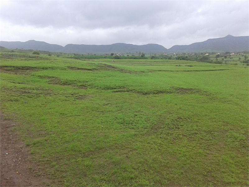  Agricultural Land 5 Acre for Sale in Kesurdi, Khandala, Satara