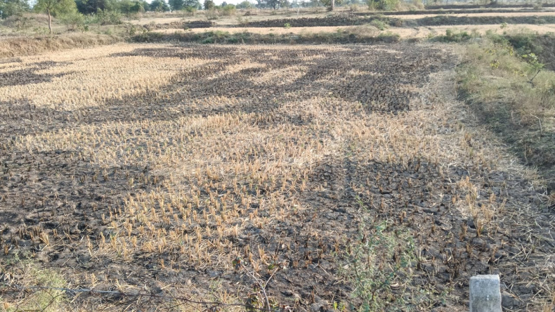  Industrial Land 3 Acre for Sale in Shirwal, Satara