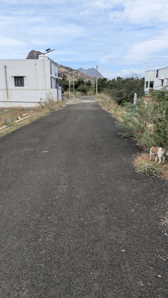  1744 Sq.ft. Residential Plot for Sale in Andipatti Jakkampatti, Theni