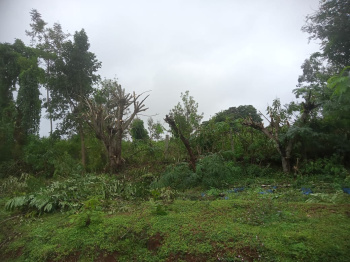  Agricultural Land for Sale in Pethanaickenpalayam, Salem