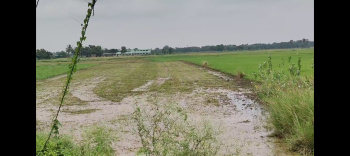  Agricultural Land for Sale in Delanga, Puri