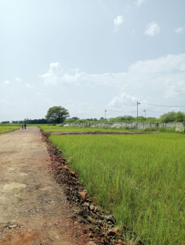  Residential Plot for Sale in Gora Bazar, Jabalpur