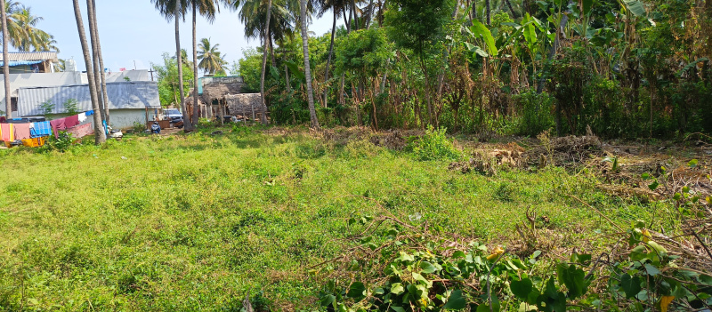  Agricultural Land 4800 Sq.ft. for Sale in Thiruvaiyaru, Thanjavur