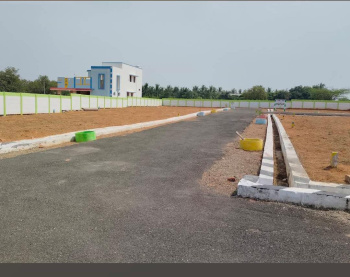  Residential Plot for Sale in Vadugapatti, Tiruchirappalli