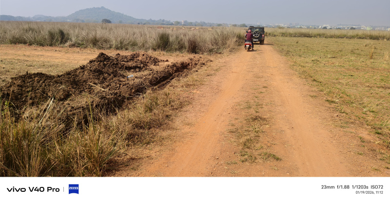  43560 Sq.ft. Residential Plot for Sale in Pipili, Puri