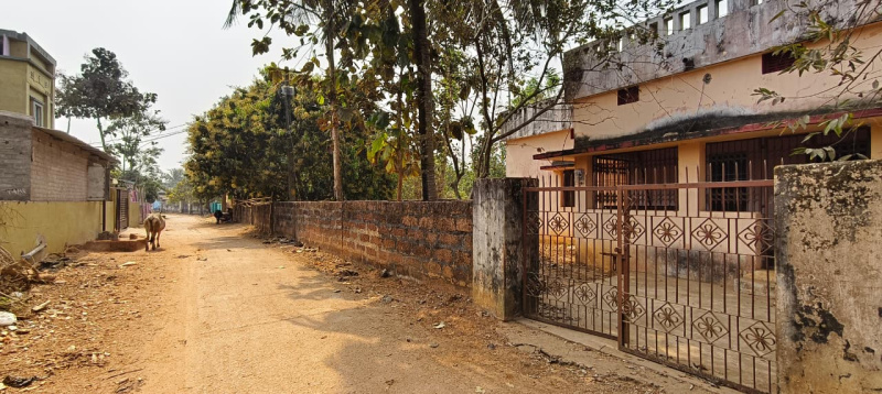  11000 Sq.ft. Residential Plot for Sale in Pipili, Puri