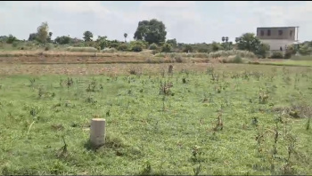  Residential Plot for Sale in Kanhauli, Bihta, Patna