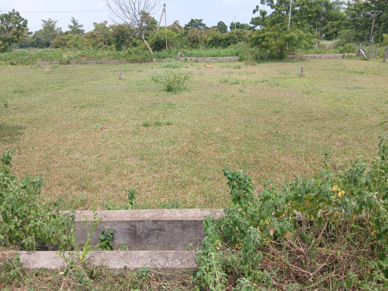  Residential Plot 190 Sq. Yards for Sale in Gannavaram, Vijayawada