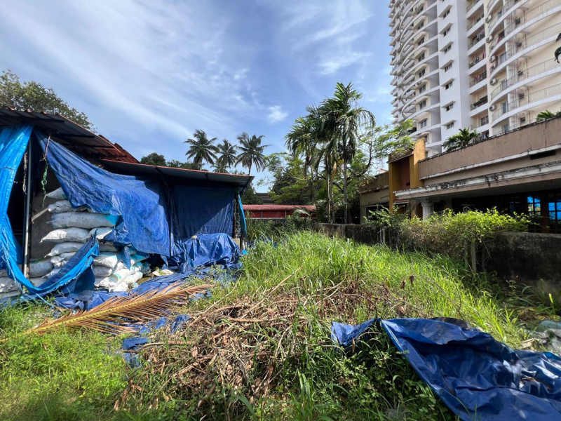  2 Acre Agricultural/Farm Land for Sale in Bantwal, Mangalore