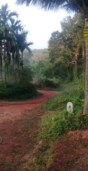  Residential Plot for Sale in Belthangady, Mangalore