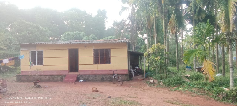  2 Acre Residential Plot for Sale in Belthangady, Mangalore