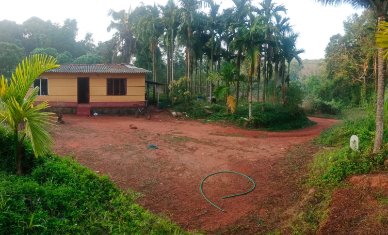  2 Acre Residential Plot for Sale in Belthangady, Mangalore