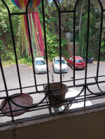 2 BHK Flat for Rent in Fatorda, Margao, Goa