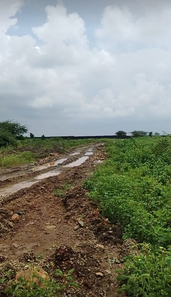 10 Bigha Agricultural/Farm Land for Sale in Betma, Indore