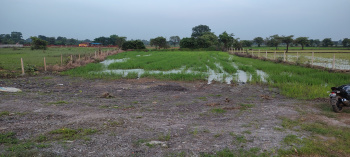  Commercial Land for Sale in Panagar, Jabalpur