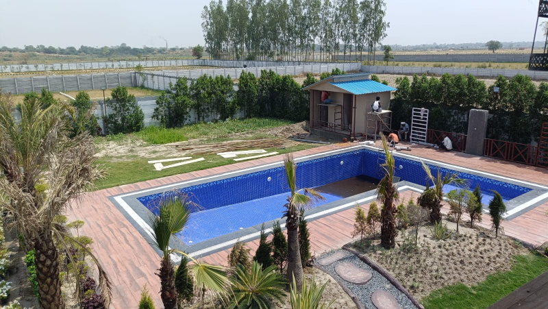  Residential Plot 200 Sq. Yards for Sale in Solra, Palwal