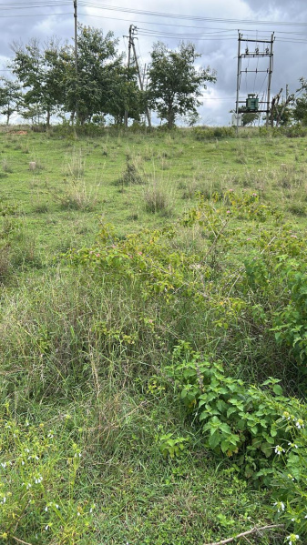  Residential Plot 111 Sq. Meter for Sale in Ilavala Hobli, Mysore