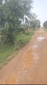  Agricultural Land for Sale in Naugaon, Alwar