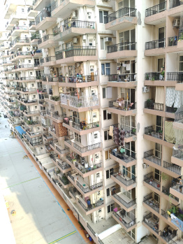 2 BHK Flat for Rent in Sohna Road, Gurgaon