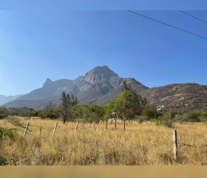  Residential Plot 23 Cent for Sale in Pannimadai, Coimbatore