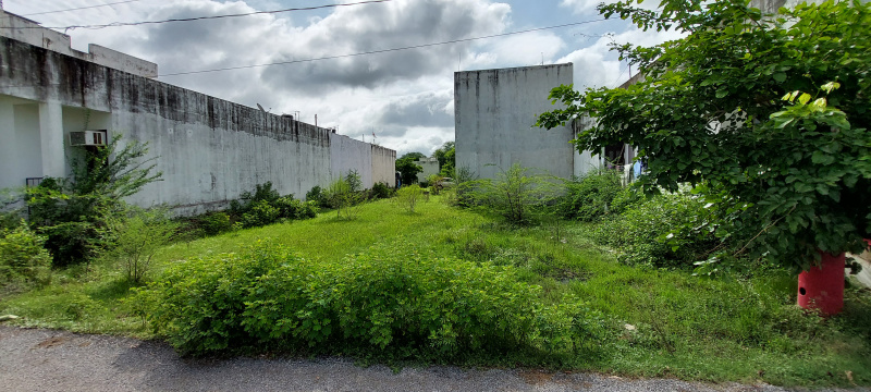  Residential Plot 3025 Sq.ft. for Sale in Senthi, Chittorgarh
