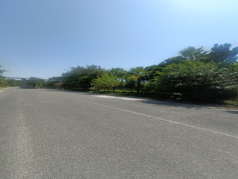  250 Sq. Yards Residential Plot for Sale in Sector 99 Gurgaon