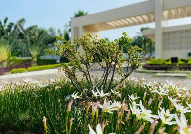  Residential Plot 1700 Sq.ft. for Sale in Sultanpur Road, Lucknow